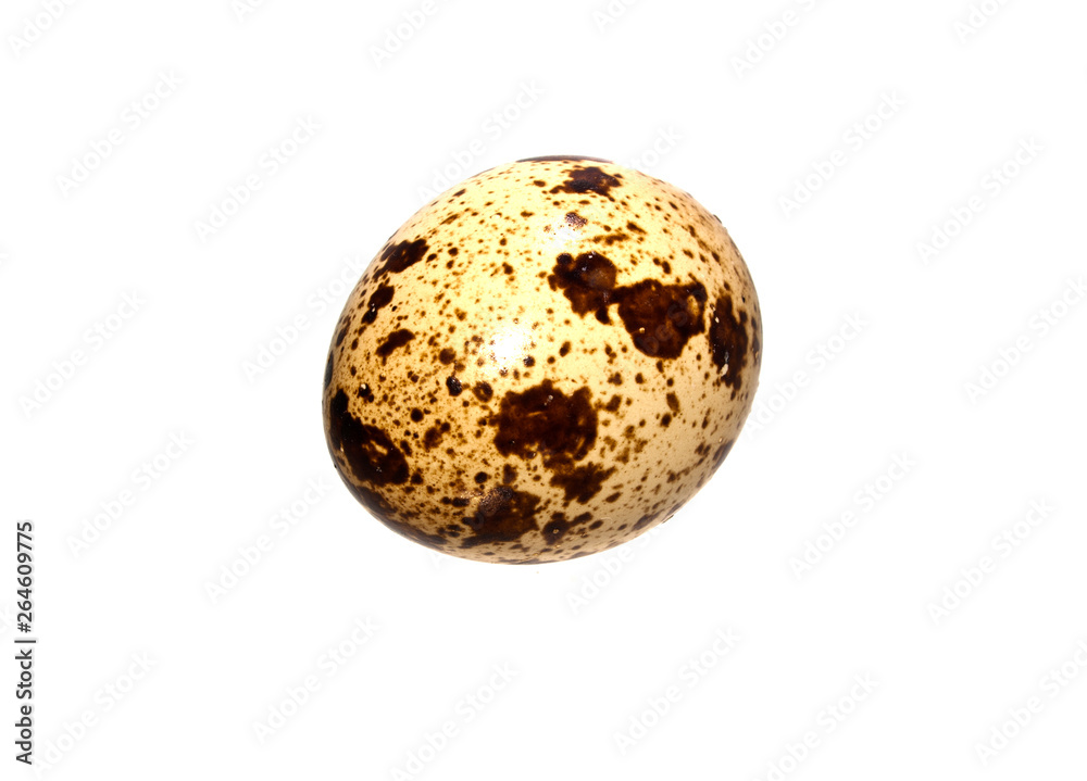egg isolated on white background egg isolated on white background