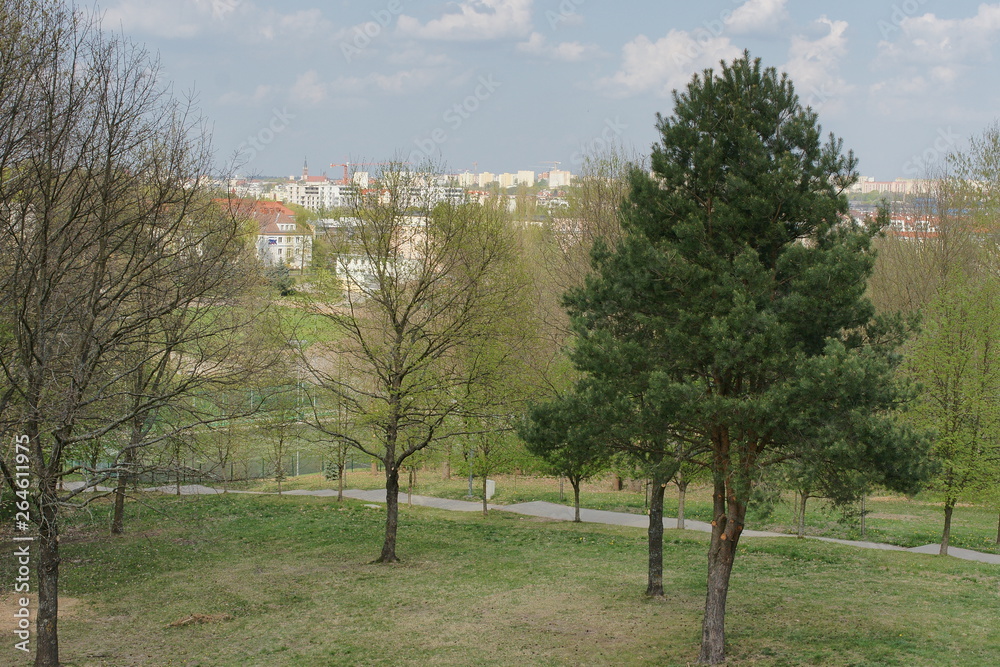 Obraz premium Kortowo - widok na Olsztyn