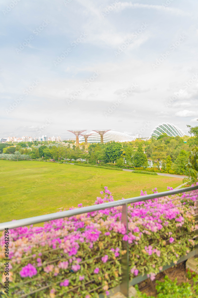 Fototapeta premium Gardens by the bay in Singapore.