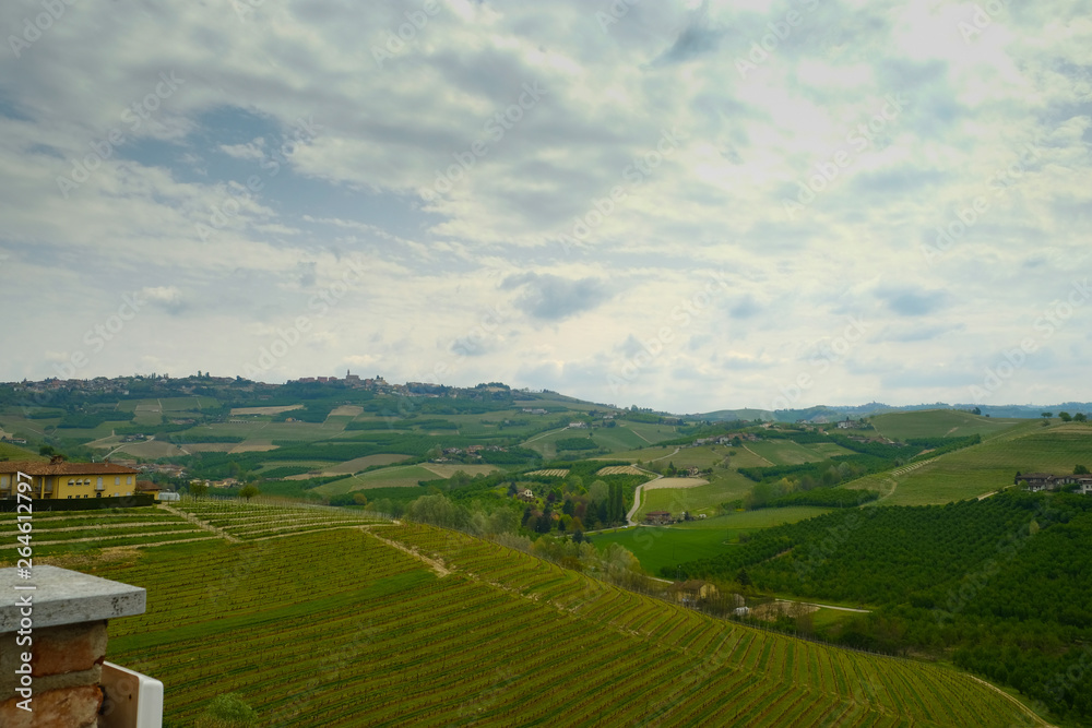 beautiful views of the hills of Grinzane cavour