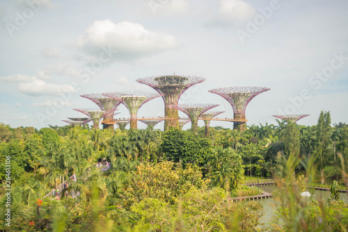 Gardens by the bay in Singapore.