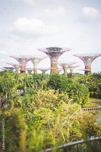 Gardens by the bay in Singapore.