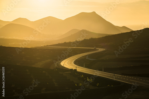 Road between La Geria vineyards in golden light photo