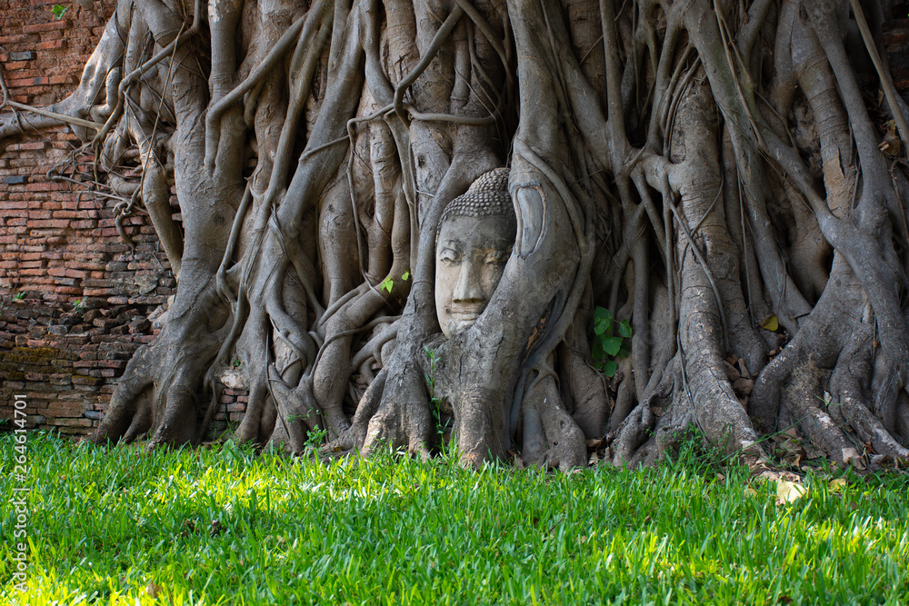 Ayutthaya, the ancient city of Thailand Ayutthaya, the ancient city of Thailand