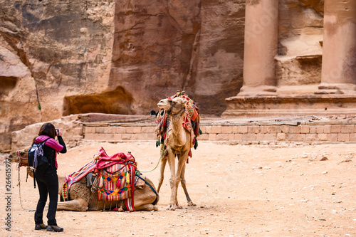 A tourist is taking pictures of two beautiful camels in front of Al Khazneh (The Treasury) at Petra. Petra is a historical and archaeological city in southern Jordan.
