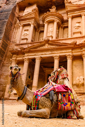 Spectacular view of two beautiful camels in front of Al Khazneh (The Treasury) in Petra. Petra is a historical and archaeological city in southern Jordan.