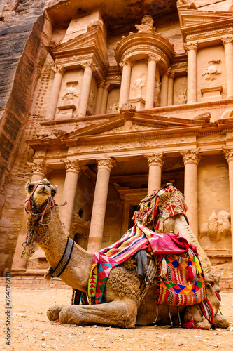 Obraz na płótnie Spectacular view of two beautiful camels in front of Al Khazneh (The Treasury) in Petra. Petra is a historical and archaeological city in southern Jordan. w salonie