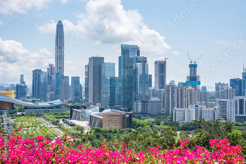 Shenzhen Futian District CBD Skyline