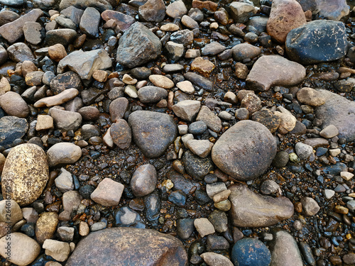smooth River stone lies in ground near the river beach