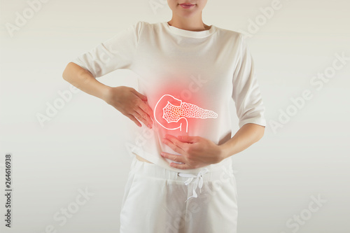 Digital composite of highlighted red pancreas of woman photo