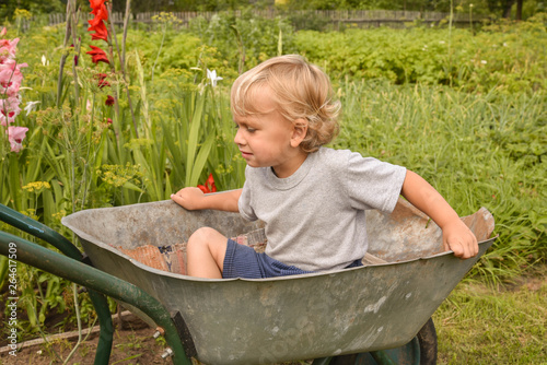 Happy little boy having fun in a wheelbarrow in domestic garden on warm sunny day. Active outdoors games for kids in summer.