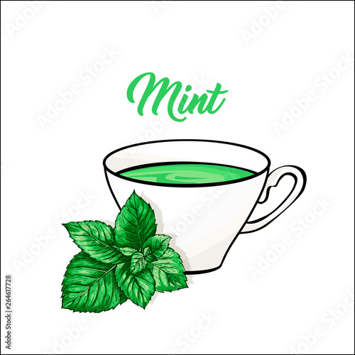 Porcelain or Ceramic Tea Cup. Mint Green Tea and Tea Leaves. Herbal Therapy. Peppermint or Spearmint Loose Herbs. Vector Illustration. Banner Design, Restaurant Menu, English Breakfast.