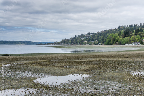 Extreme Tide Landscape 10