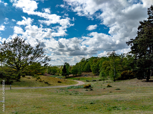 Countryside photo