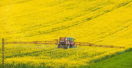 Billede på lærred agricuteur travaillant dans les champs de colza en fleur
