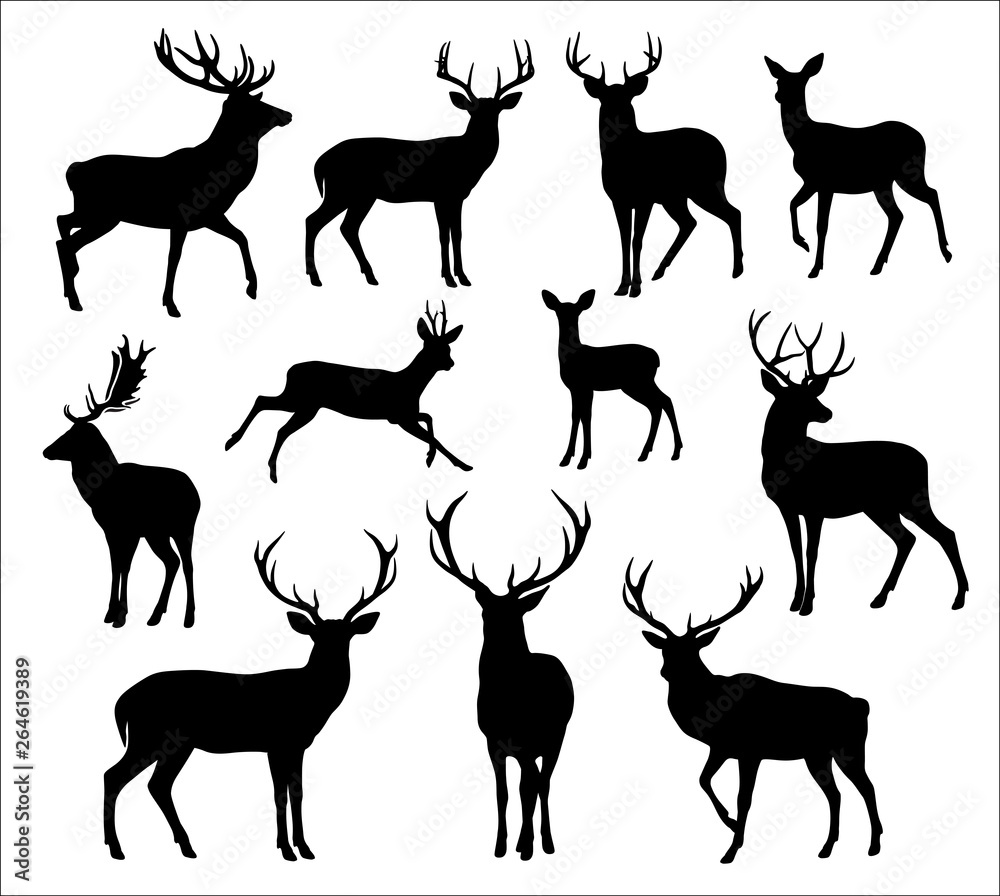 Graphic black silhouettes of wild deers male, female and roe deer