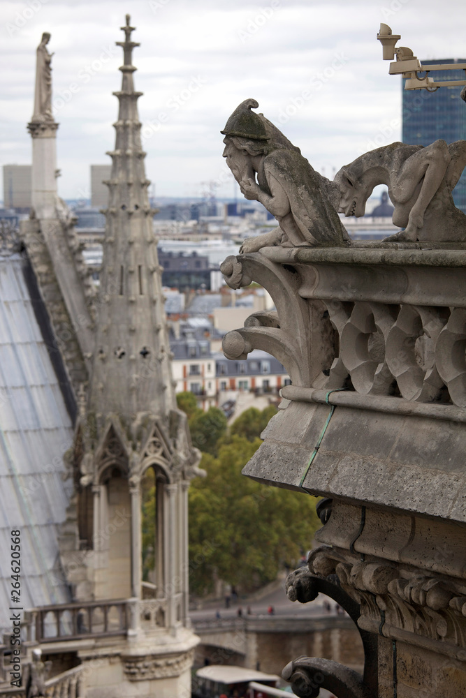 Obraz premium Fragment of the Cathedral of Notre Dame de Paris, France