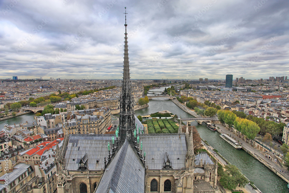 Beautiful view of the city from a height, roof, statues and spire Cathedral of Notre Dame de Paris, France