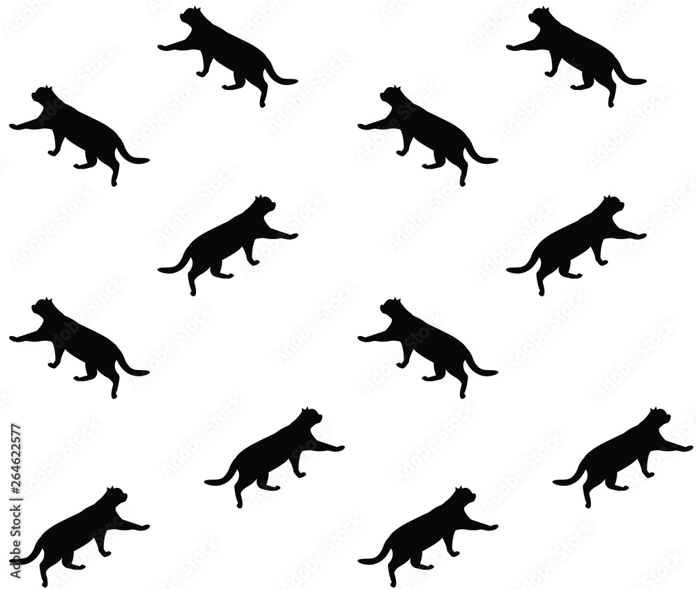 Fototapeta premium vector walking black cat silhouette isolated on white seamless pattern