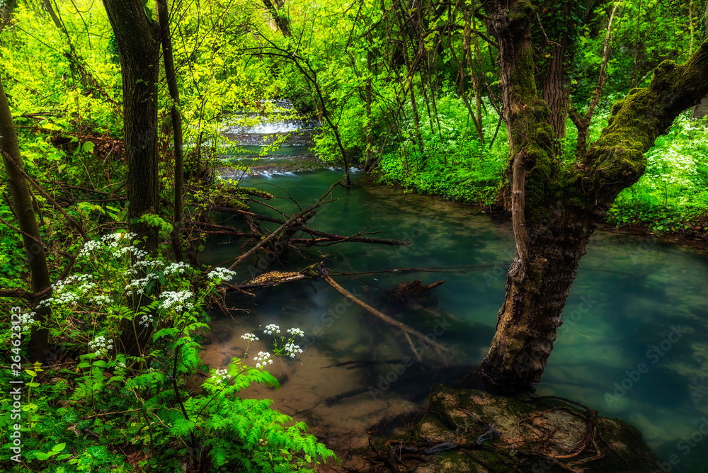 Nature landscape of Krushuna waterfalls in Bulgaria. The falls, terraces and pools are surrounded by bright summer greens Nature landscape of Krushuna waterfalls in Bulgaria. The falls, terraces and pools are surrounded by bright summer greens
