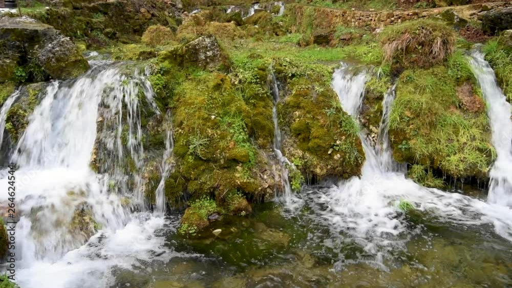 Stones and rocks covered by moss along water stream flowing through green forest Stones and rocks covered by moss along water stream flowing through green forest