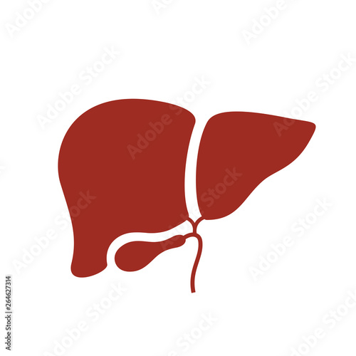 Liver silhouette vector icon
