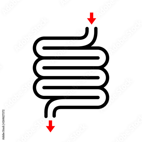 Digestive tract vector icon