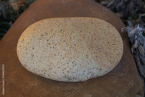 a large gray oval stone lies on a brown rock outside