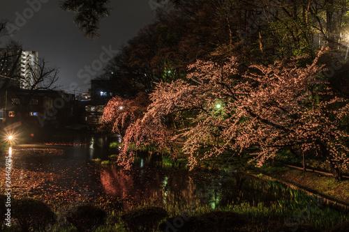 春の久保田城の風景