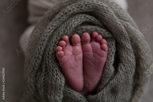 newborn child. baby legs. the legs of the newborn. legs on green background. child's feet