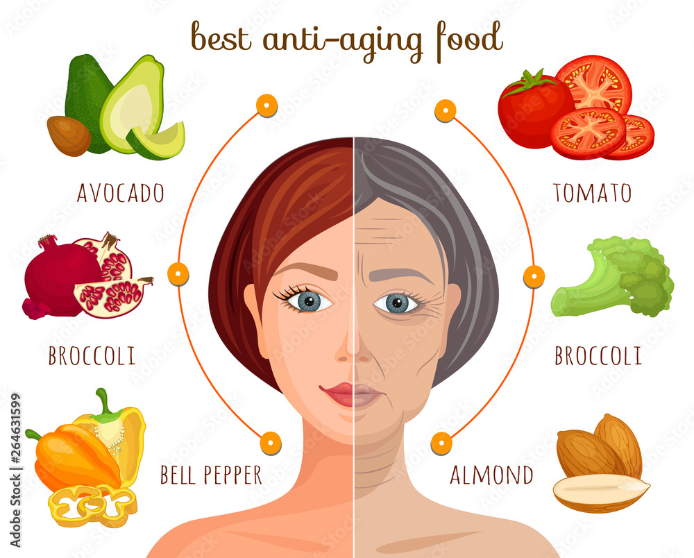 The best anti-aging food. Vector information collage. Infographics on the  theme of a healthy lifestyle. Vegetables and fruits that help preserve  youth. Stock Vector | Adobe Stock