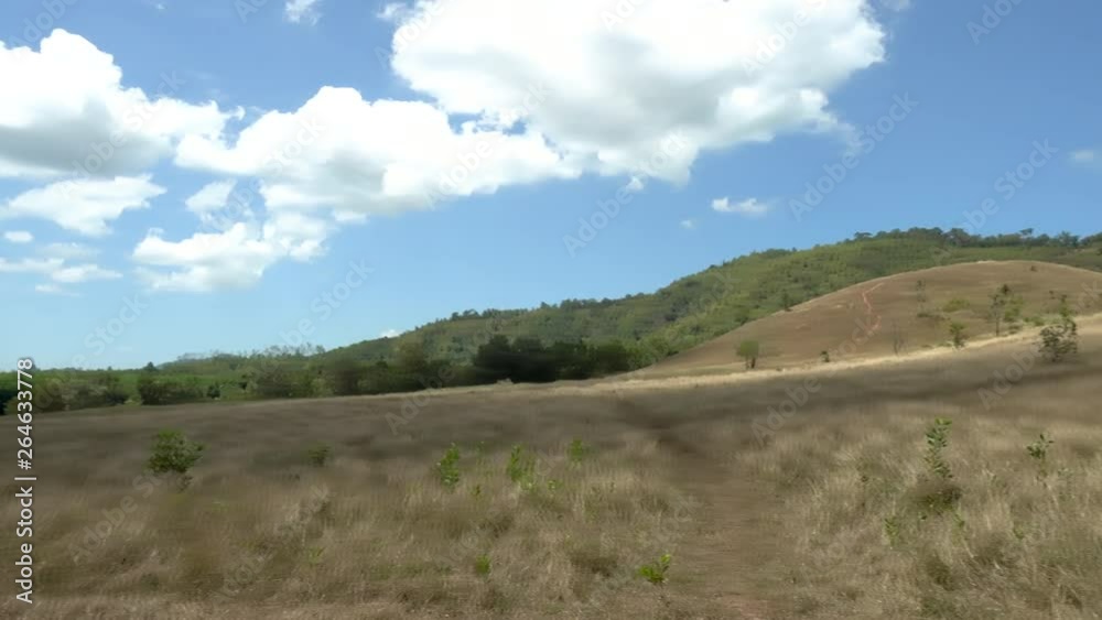 Golden grass at bald hill mountain, Ranong Golden grass at bald hill mountain, Ranong