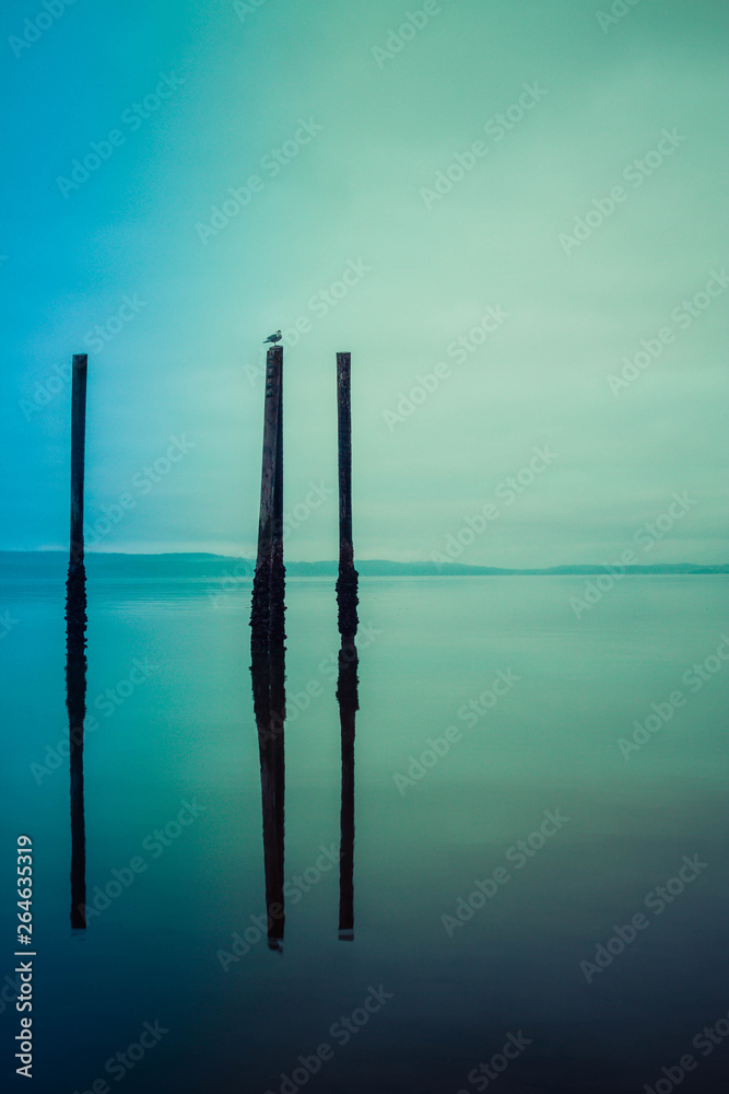A gloomy image of the calm ocean with wood pilings standing free and reflecting in the water. A gloomy image of the calm ocean with wood pilings standing free and reflecting in the water.