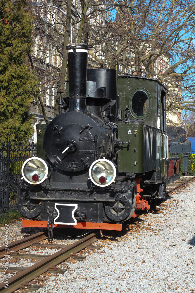 Naklejka premium Jaworzyna Slaska, Poland - October 2018: Museum of steam locomotives standing on tracks in a siding. Panoramic photo of the trains on a nice sunny day.