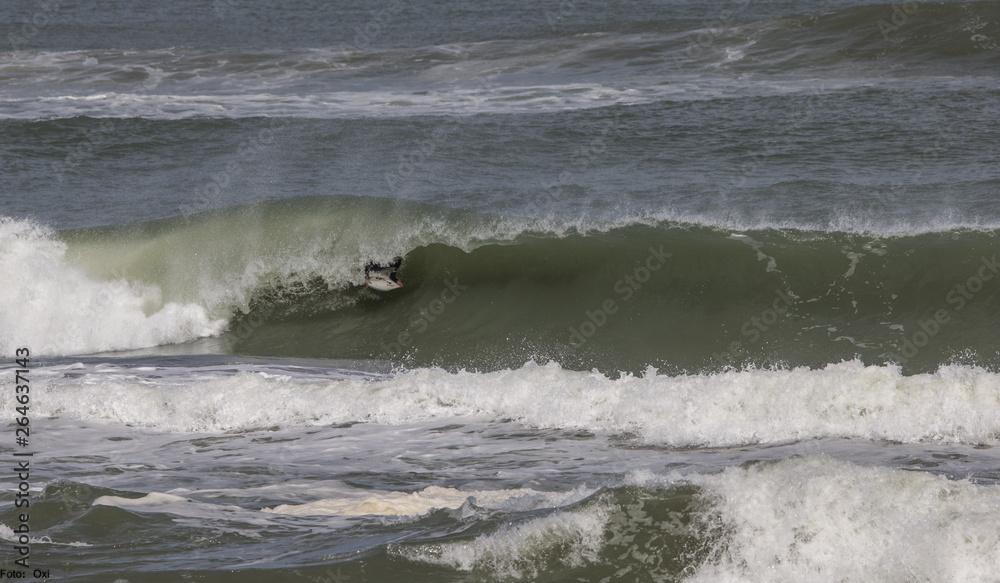 Fototapeta premium 25 November of 2019 - Beautiful city of necochea in Argentina,with an extensive beach and a beautiful park.