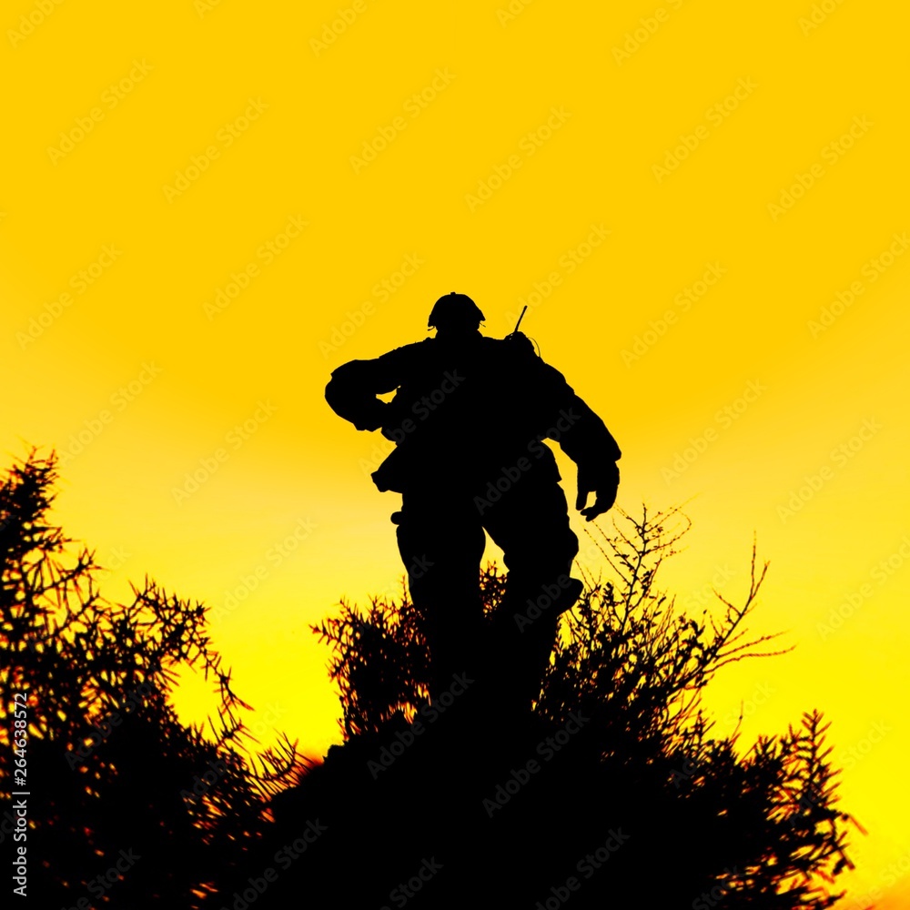 Memorial Day soldier silhouette Memorial Day soldier silhouette