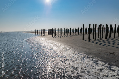 Sea and seafood concept: view of the large, natural mussel farm on the North Sea coast in northern France.