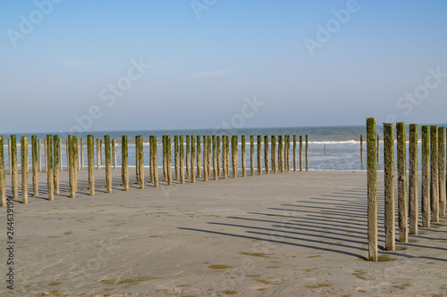 Sea and seafood concept: long row of poles for mussel farms on the beach of the North Sea.