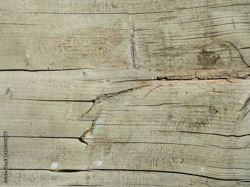 white wood texture background copy space