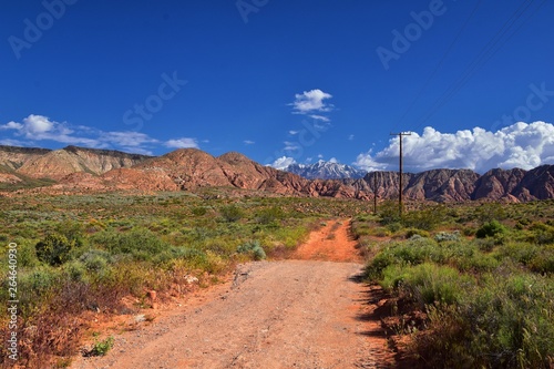 Views of Red Mountain Wilderness and Snow Canyon State Park from the Millcreek Trail and Washington Hollow by St George, Utah in Spring bloom in desert. United States.