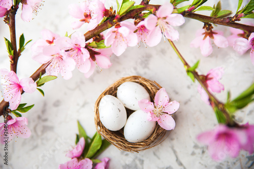 Spring blossom concept. Easter concept, eggs in a nest, flowering tree close-up and copy space. Pink natural texture of natural flowering tree. Easter eggs and branches of blossoming on an table. Top 