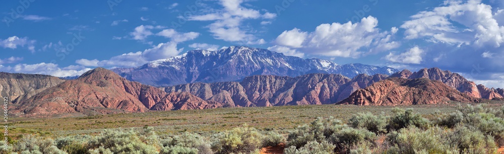 Views of Red Mountain Wilderness and Snow Canyon State Park from the  Millcreek Trail and Washington Hollow by St George, Utah in Spring bloom in desert. United States.