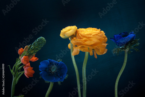Closeup of flowers.