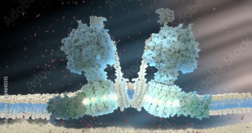 ATP synthase molecular machine photo