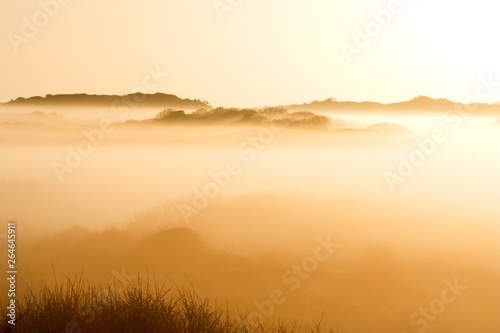 Dunes near Katwijk, Netherlands, in morning fog with beautiful golden light