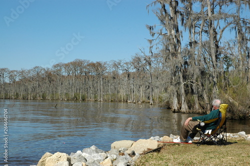 The view at Fairview-Riverside State Park, in Madisonville, Louisiana, USA photo