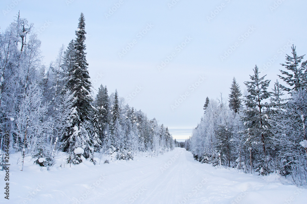 Winter landscape of Kuusamo, Finland. Snow covered taiga forest along a local road near the Russian border.