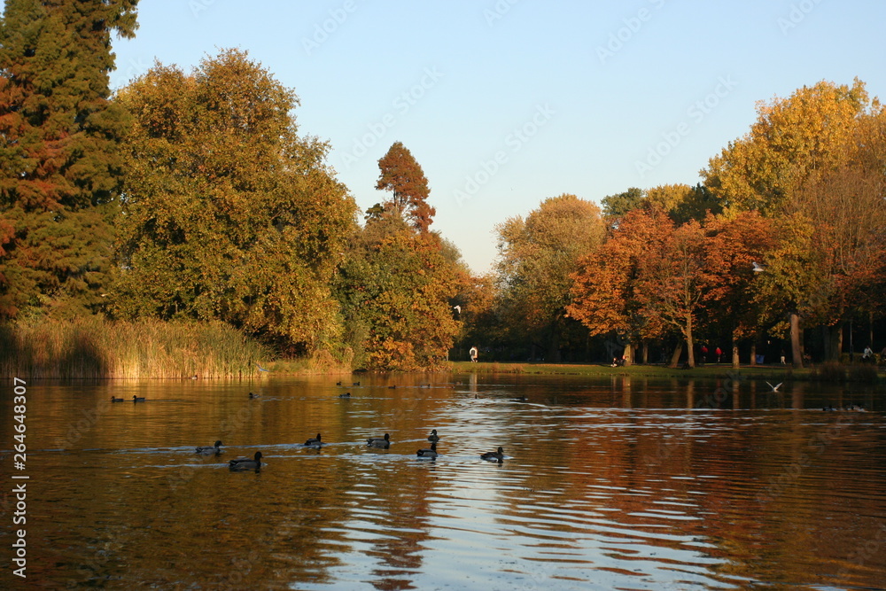 City park Vondelpark Amsterdam, Netherlands City park Vondelpark Amsterdam, Netherlands