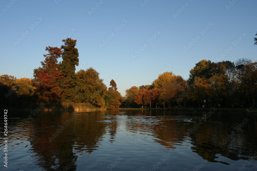 Fototapeta premium City park Vondelpark Amsterdam, Netherlands