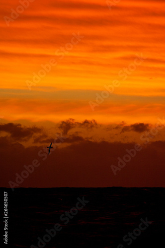 Stunning red colored sunset in the Southern Atlantic Ocean